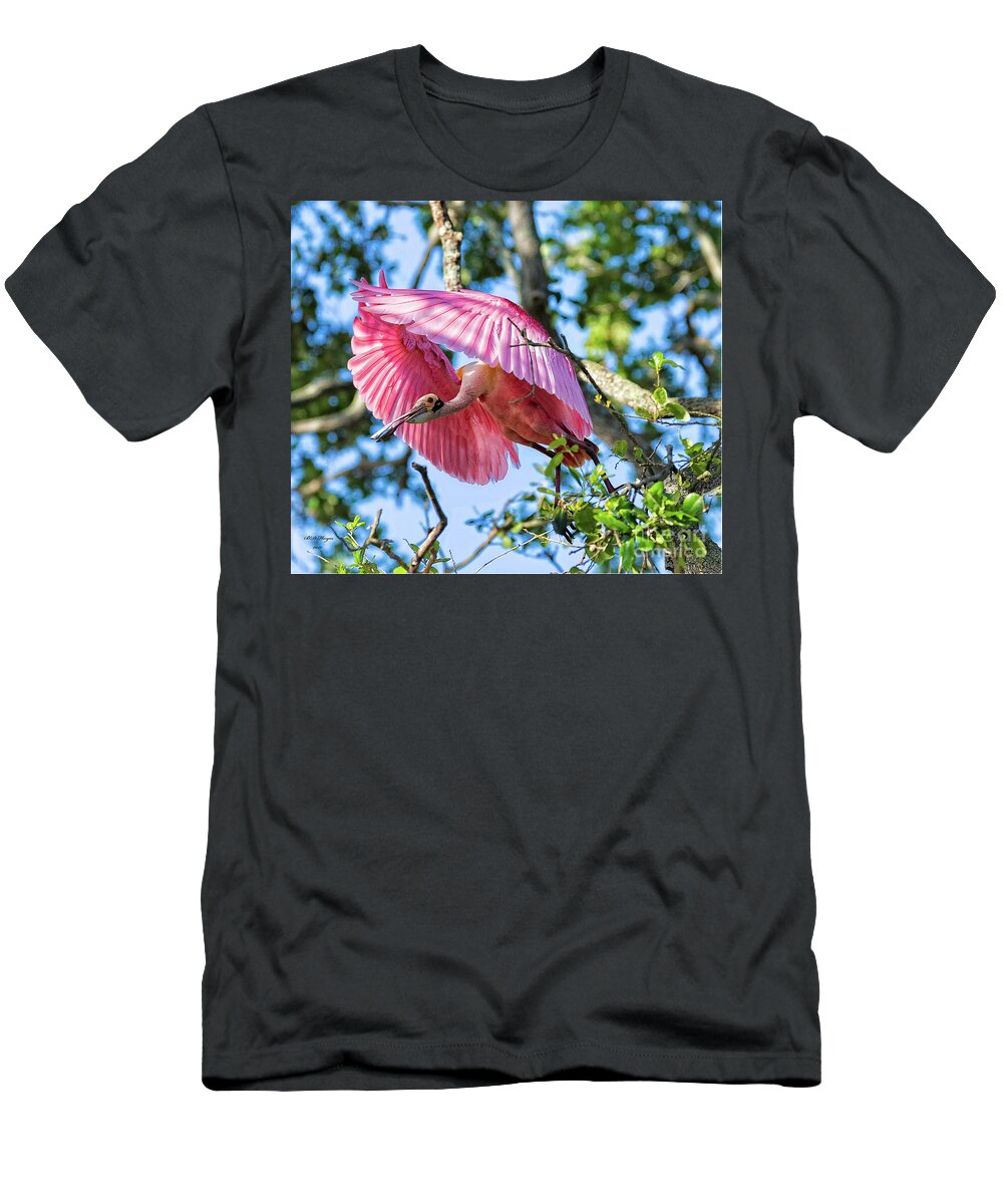 Spoonbills T-Shirt featuring the photograph We Have Lift Off by DB Hayes