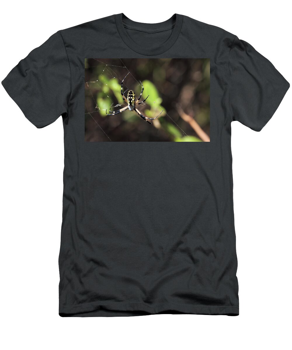 Arachnid T-Shirt featuring the photograph Web Builder by Travis Rogers