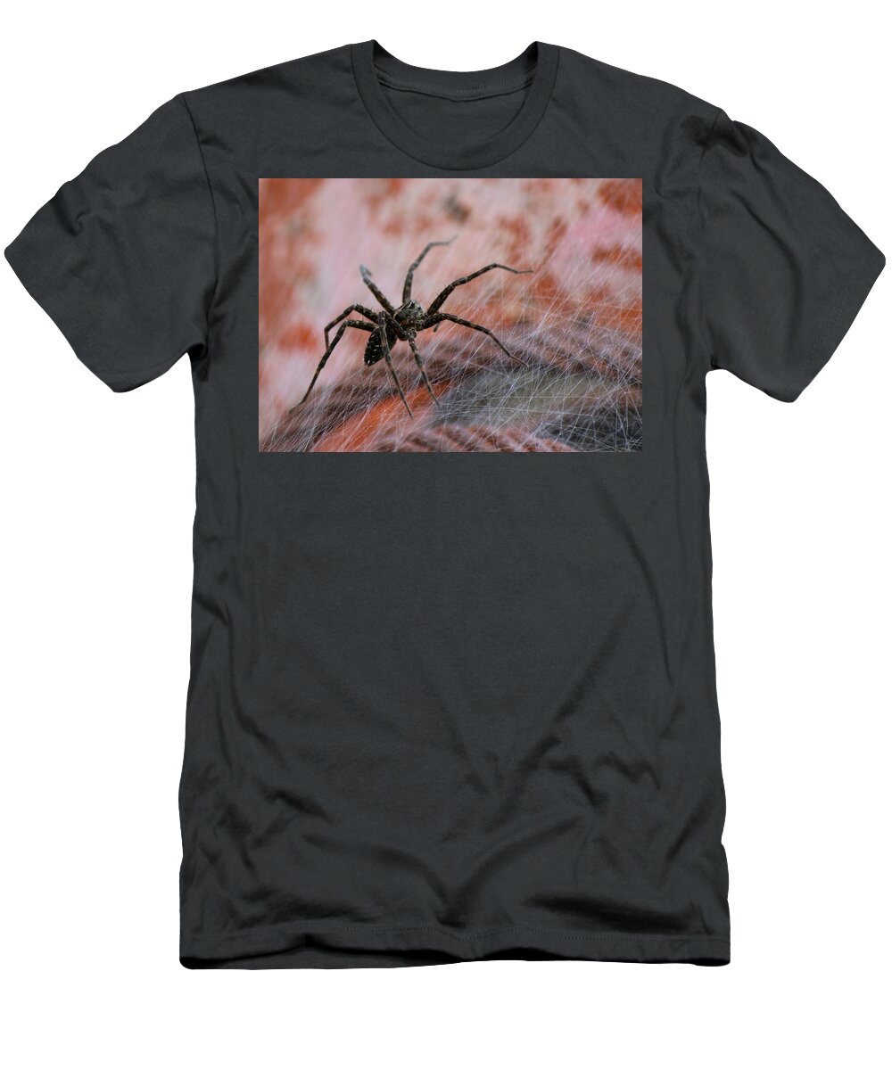 Wolf Spider T-Shirt featuring the photograph Web by David Pickett