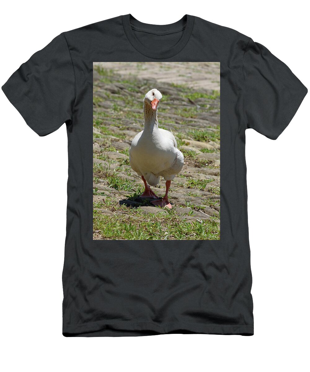 Goose T-Shirt featuring the photograph Well Hello by Holden The Moment