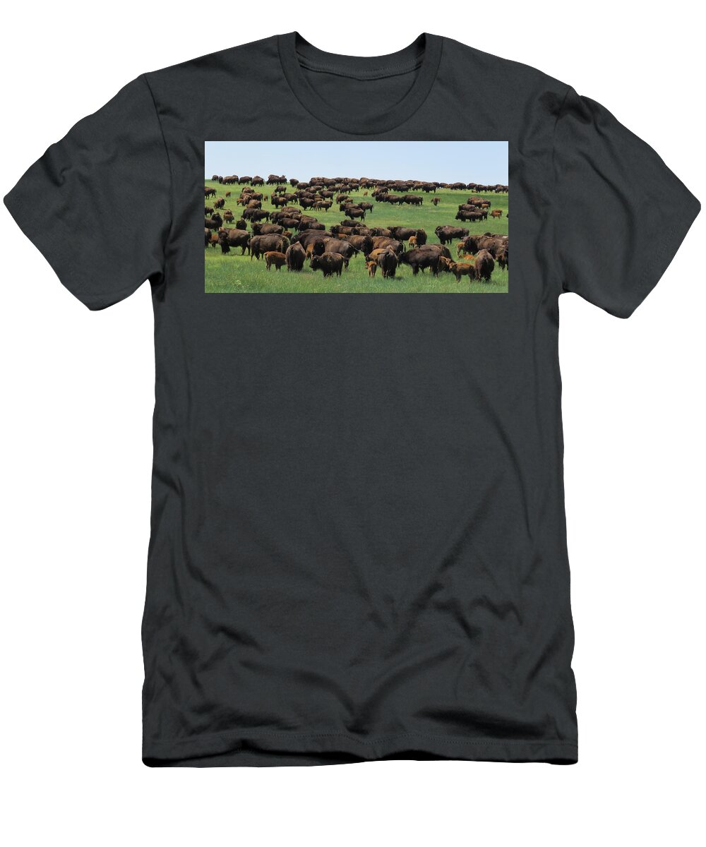 Buffalo T-Shirt featuring the photograph Western Kansas Buffalo Herd by Keith Stokes