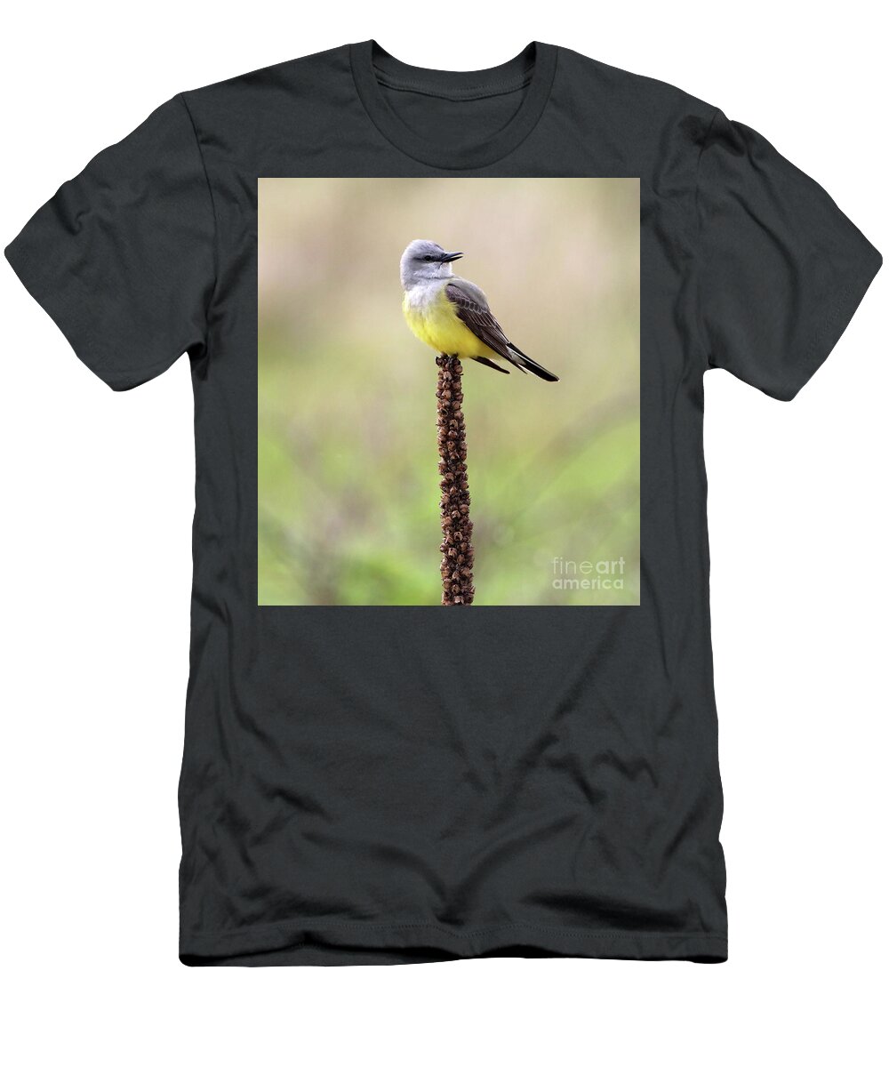 Arkansas Kingbird T-Shirt featuring the photograph Western Kingbird by Elizabeth Winter