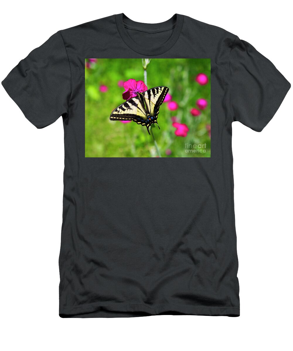 Western Tiger Swallowtail Butterfly T-Shirt featuring the photograph Western tiger Swallowtail butterfly by Bruce Block