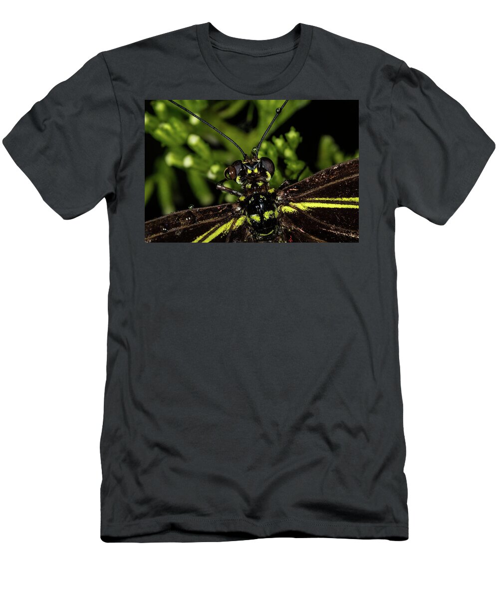Jay Stockhaus T-Shirt featuring the photograph Wet Butterfly by Jay Stockhaus