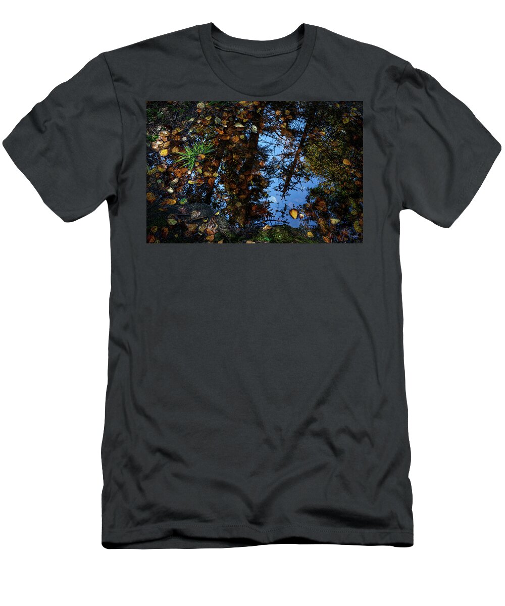 Autumn T-Shirt featuring the photograph Wetlands by Doug Gibbons