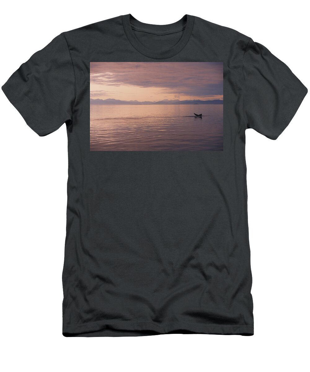 Admiralty T-Shirt featuring the photograph Whale Tail At Surface by John Hyde - Printscapes