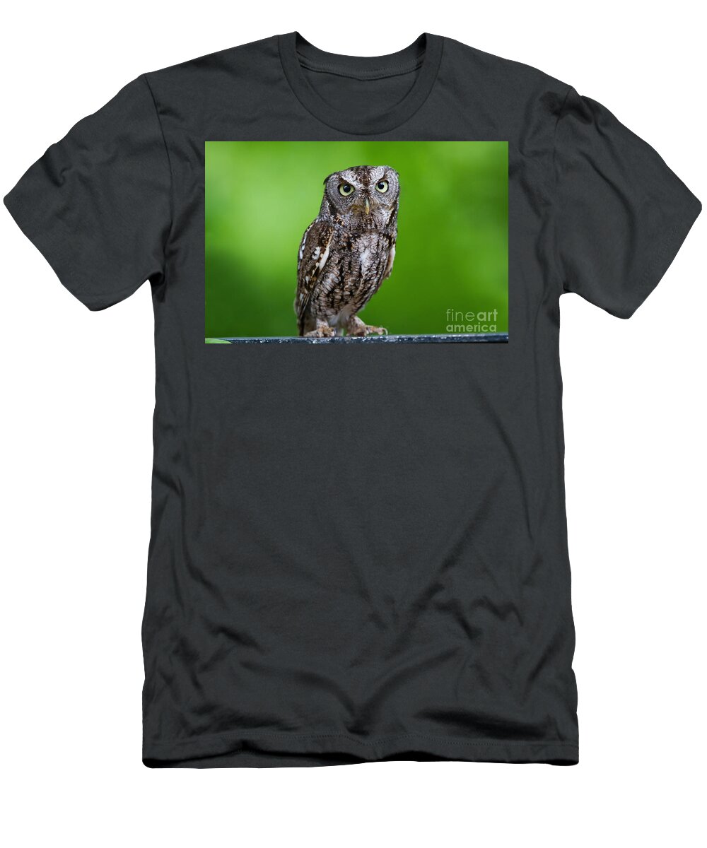 What A Hoot T-Shirt featuring the photograph What a Hoot by Gary Holmes