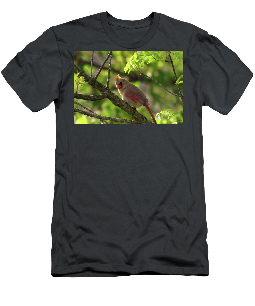 Cardinal T-Shirt featuring the photograph What's That Noise by Mike Flake