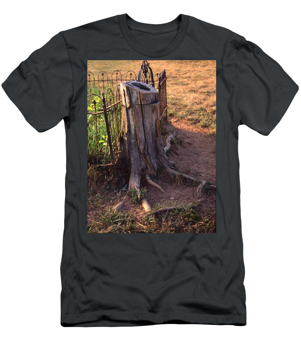  T-Shirt featuring the photograph Where The Cows Can't Reach by Curtis J Neeley Jr