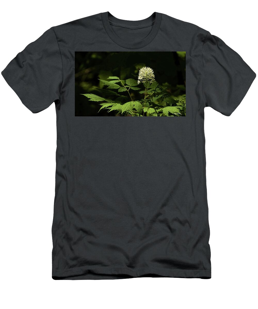 Flowers T-Shirt featuring the photograph White Baneberry by Harry Moulton