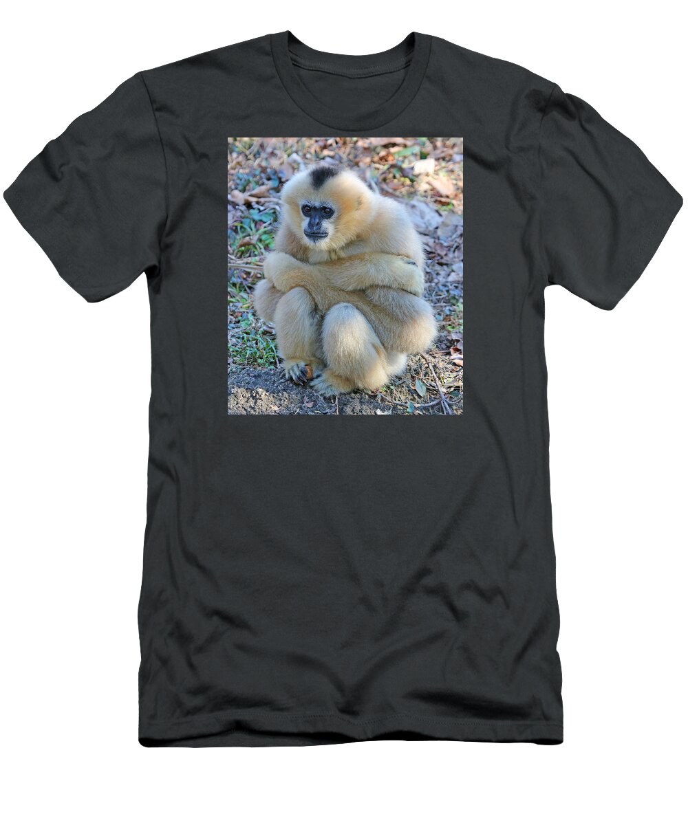 Mammal T-Shirt featuring the photograph Bummed by Gina Fitzhugh
