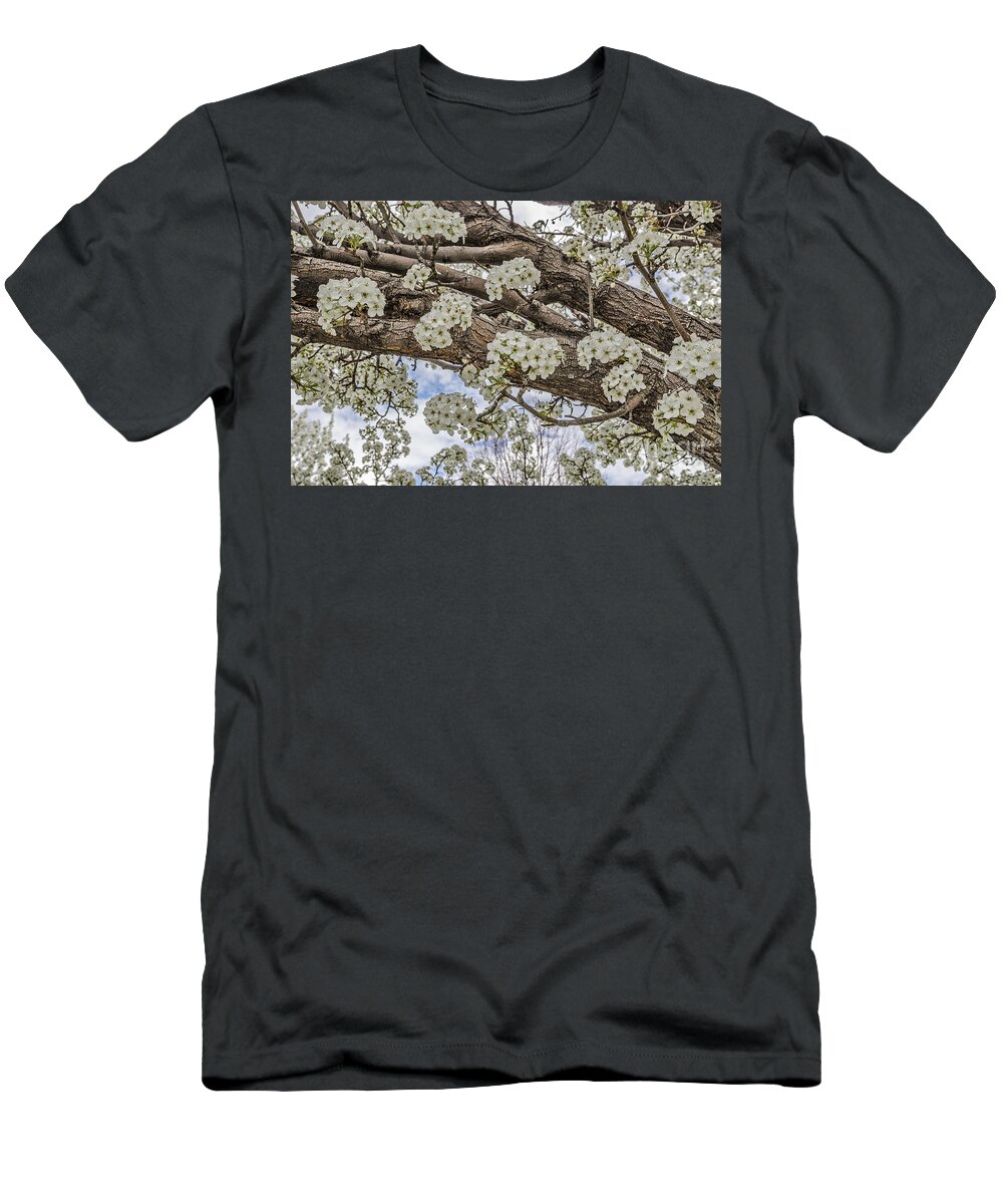 Malus Species T-Shirt featuring the photograph White Crabapple Blossoms by Sue Smith