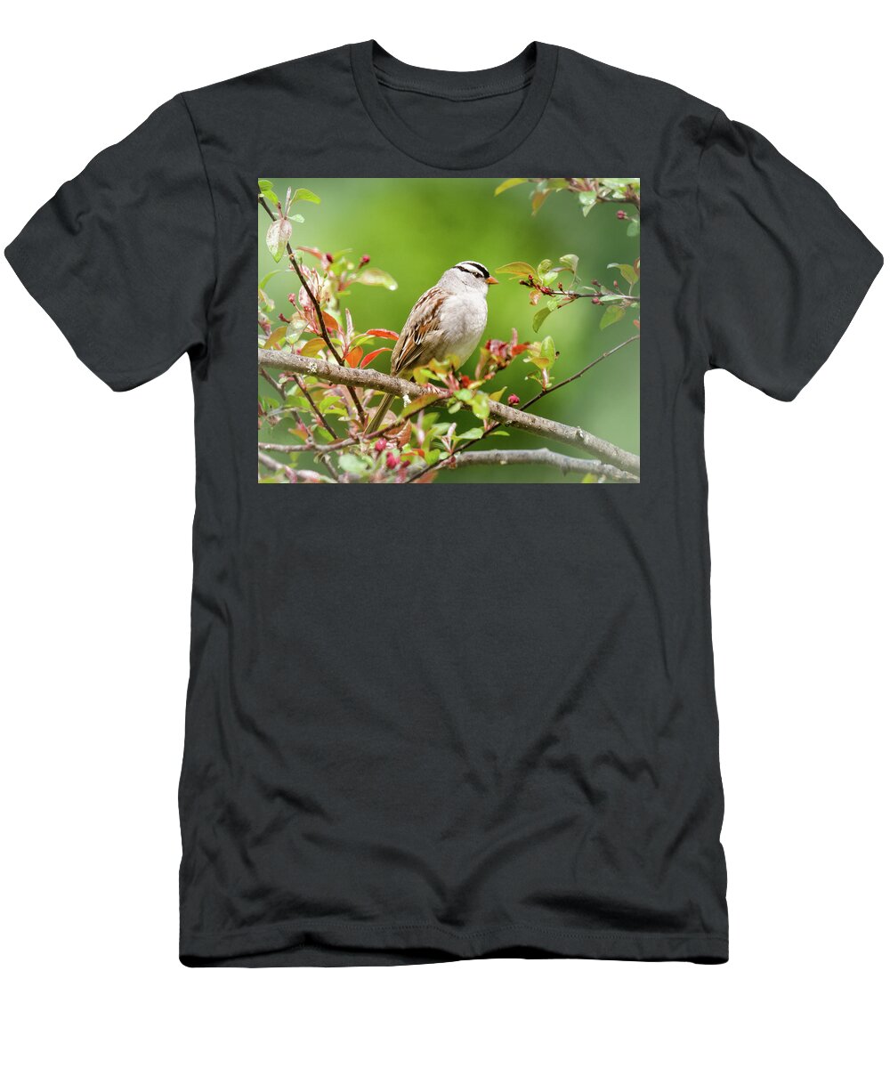 White-crowned Sparrow T-Shirt featuring the photograph White-crowned Sparrow by Kristin Hatt