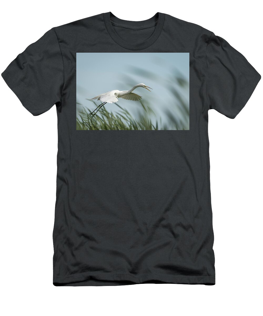 Great Egret T-Shirt featuring the photograph White Egret 2016-2 by Thomas Young