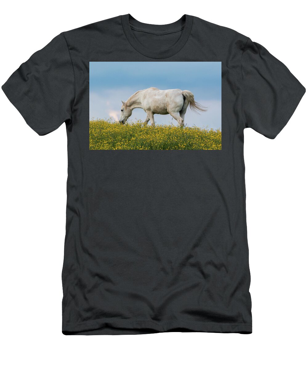 Horse T-Shirt featuring the photograph White Horse of Cataloochee Ranch 2 - May 30 2017 by D K Wall
