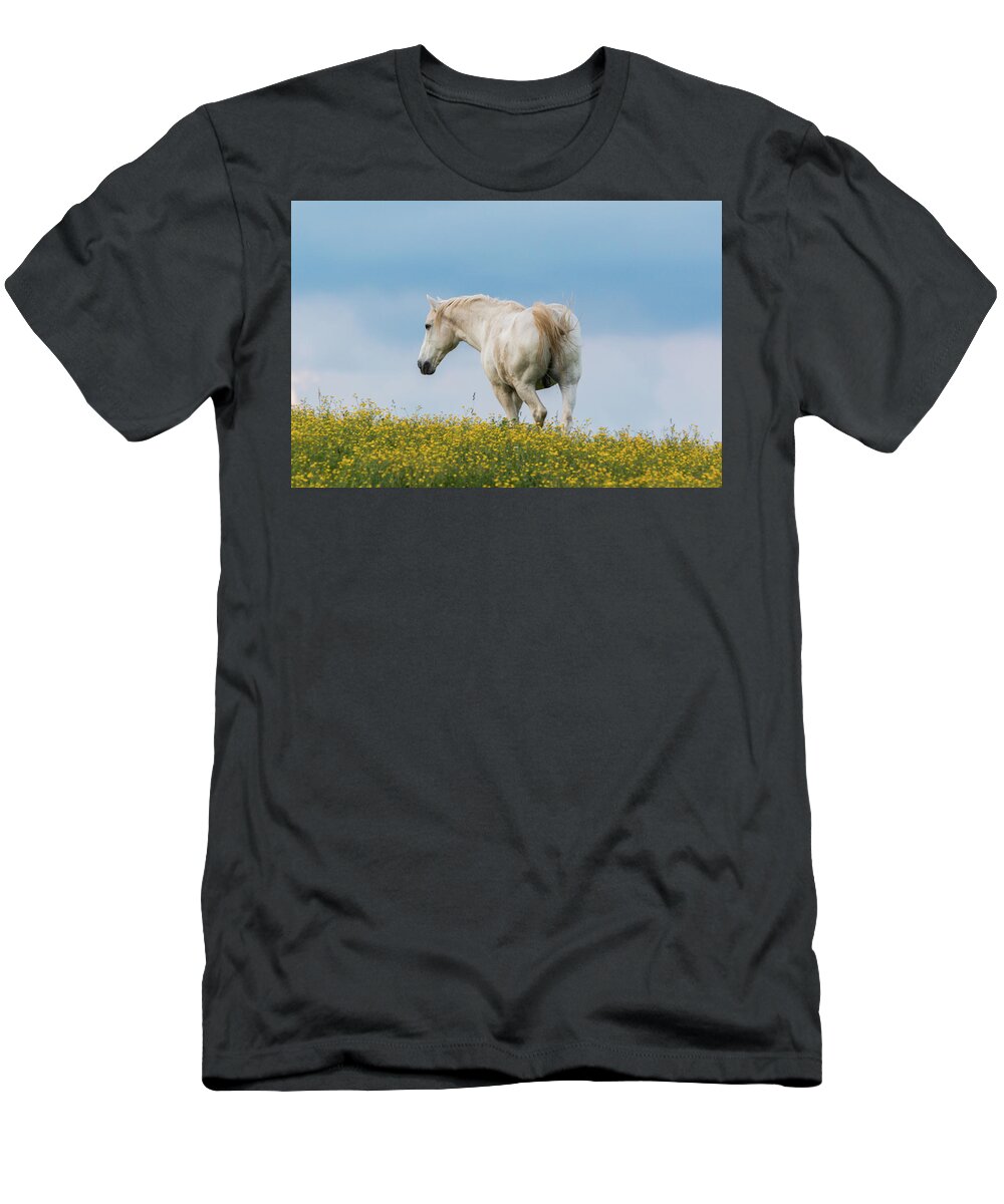Horse T-Shirt featuring the photograph White Horse of Cataloochee Ranch - May 30 2017 by D K Wall