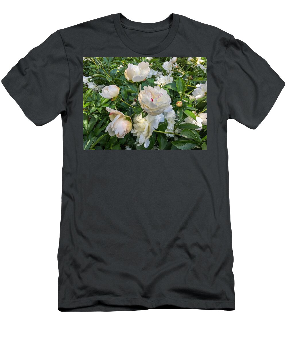 White Peonies T-Shirt featuring the photograph White Peonies in North Carolina by Chris Berrier