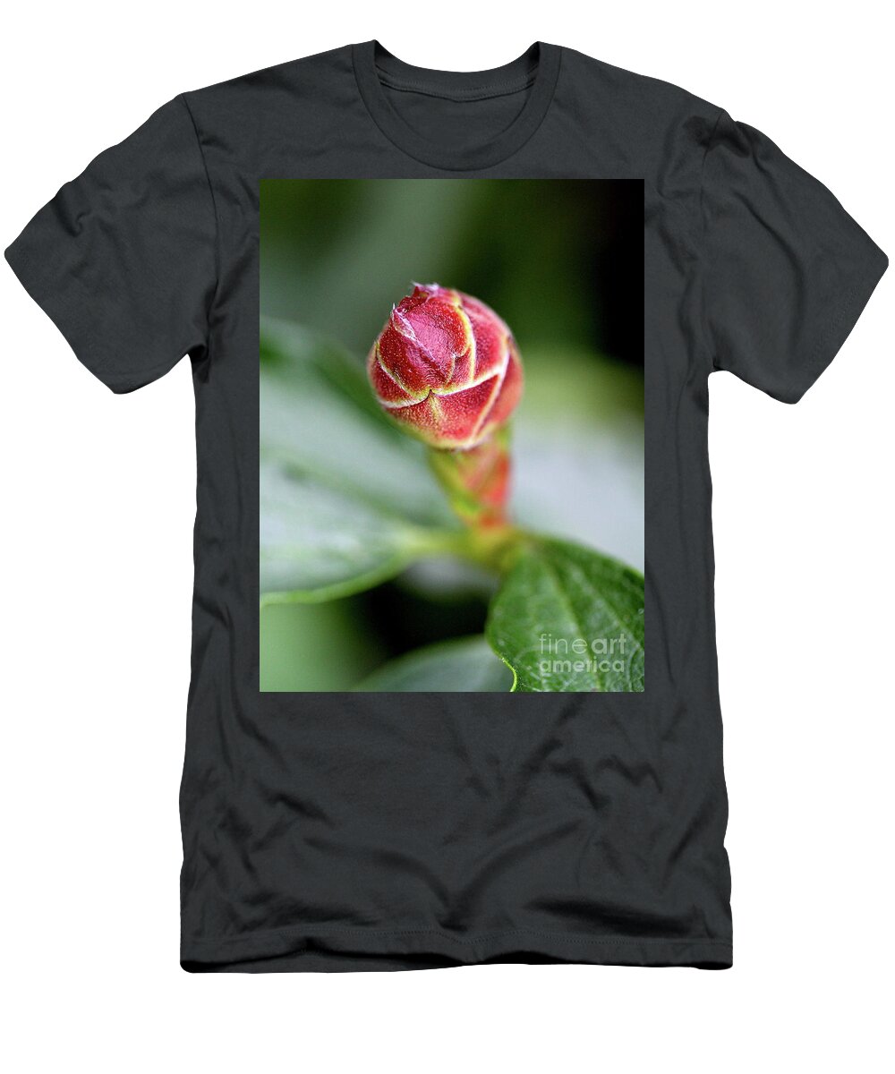 Rockrose T-Shirt featuring the photograph White Rockrose Flower Bud . 7D5300 by Wingsdomain Art and Photography