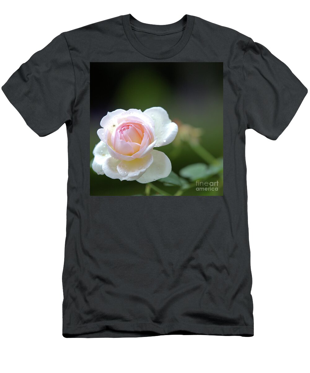 Rose T-Shirt featuring the photograph White rose by Agnes Caruso