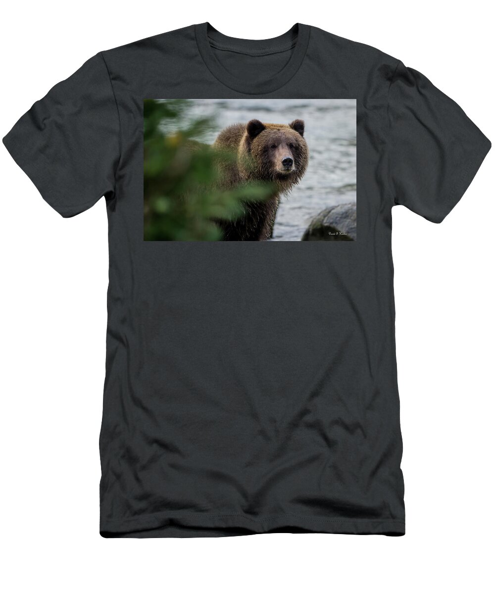 Alaska T-Shirt featuring the photograph Who Are You by David F Hunter