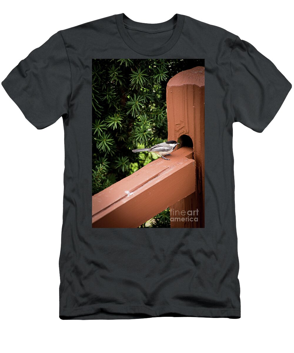 Flying T-Shirt featuring the photograph Who's in There? by Deborah Klubertanz
