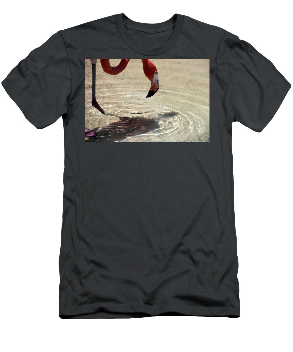 Horizontal T-Shirt featuring the photograph Who's the Pretty Bird by Valerie Collins