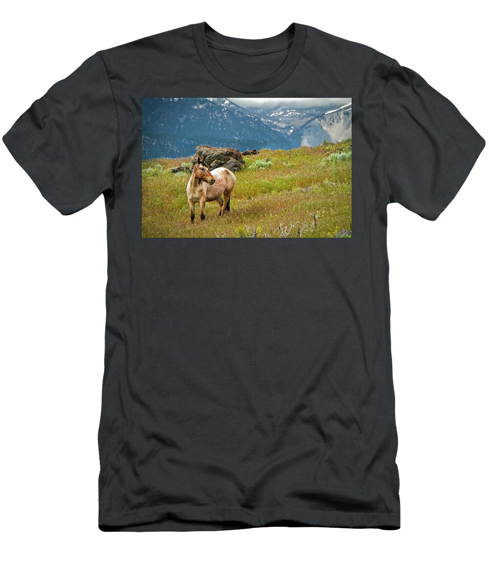 Horses T-Shirt featuring the photograph Wild Appaloosa Horse by Waterdancer