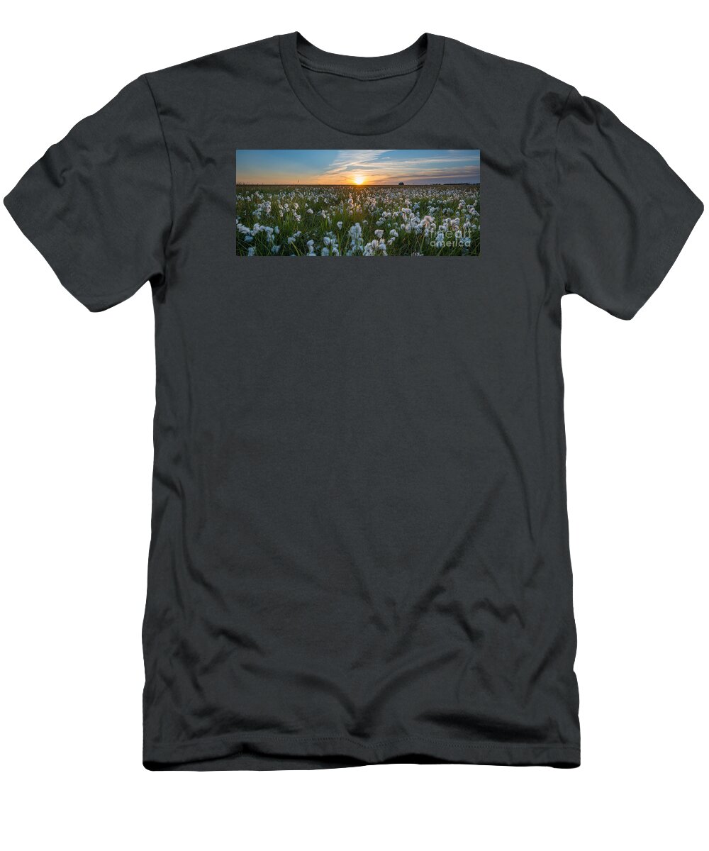 Cotton Field T-Shirt featuring the photograph Wild Cotton Field Panorama by Michael Ver Sprill