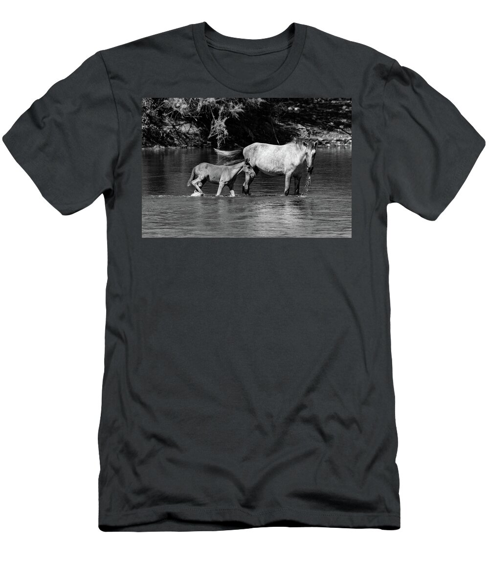 Wild T-Shirt featuring the photograph Wild Horses Black and White by Douglas Killourie