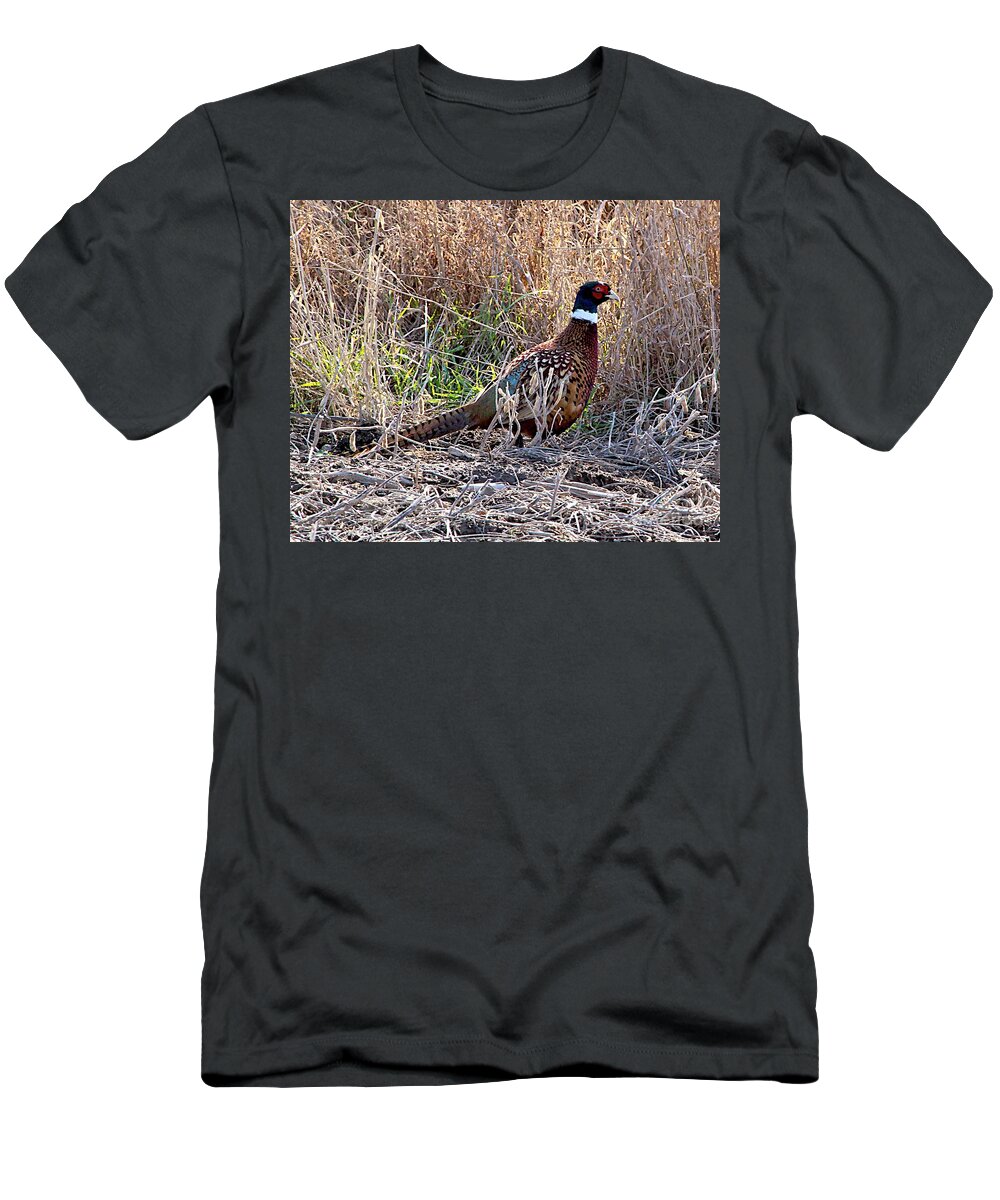Blue Bird T-Shirt featuring the photograph Wild Ring Neck Phesant by Robert Pearson