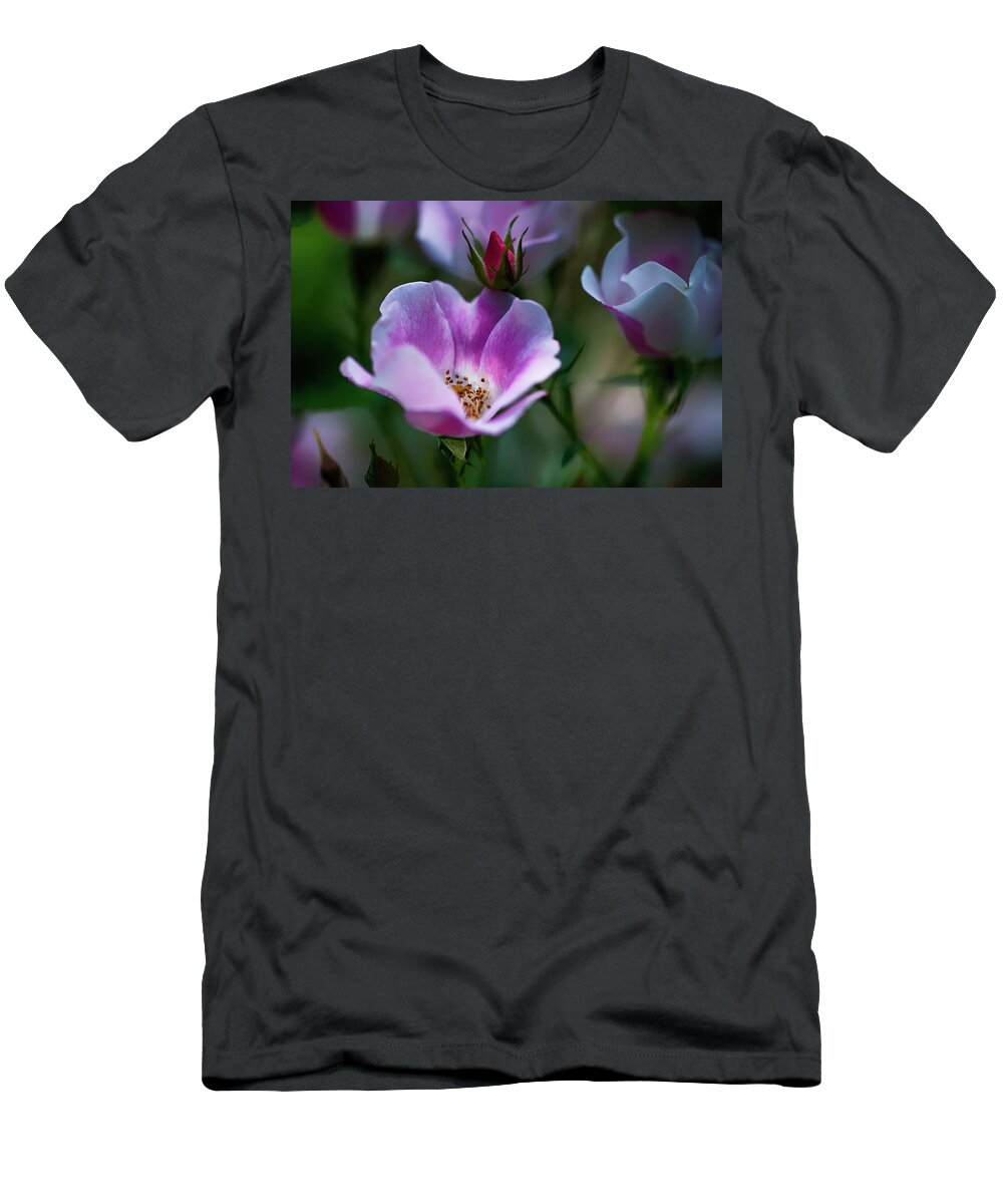  T-Shirt featuring the photograph Wild Rose 7 by Dan Hefle