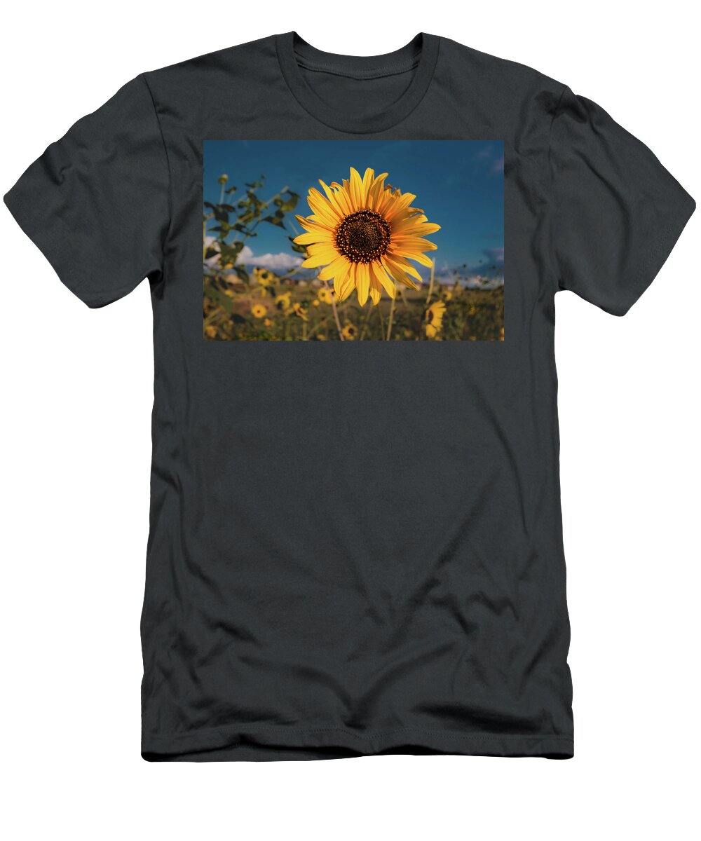 Jay Stockhaus T-Shirt featuring the photograph Wild Sunflower by Jay Stockhaus