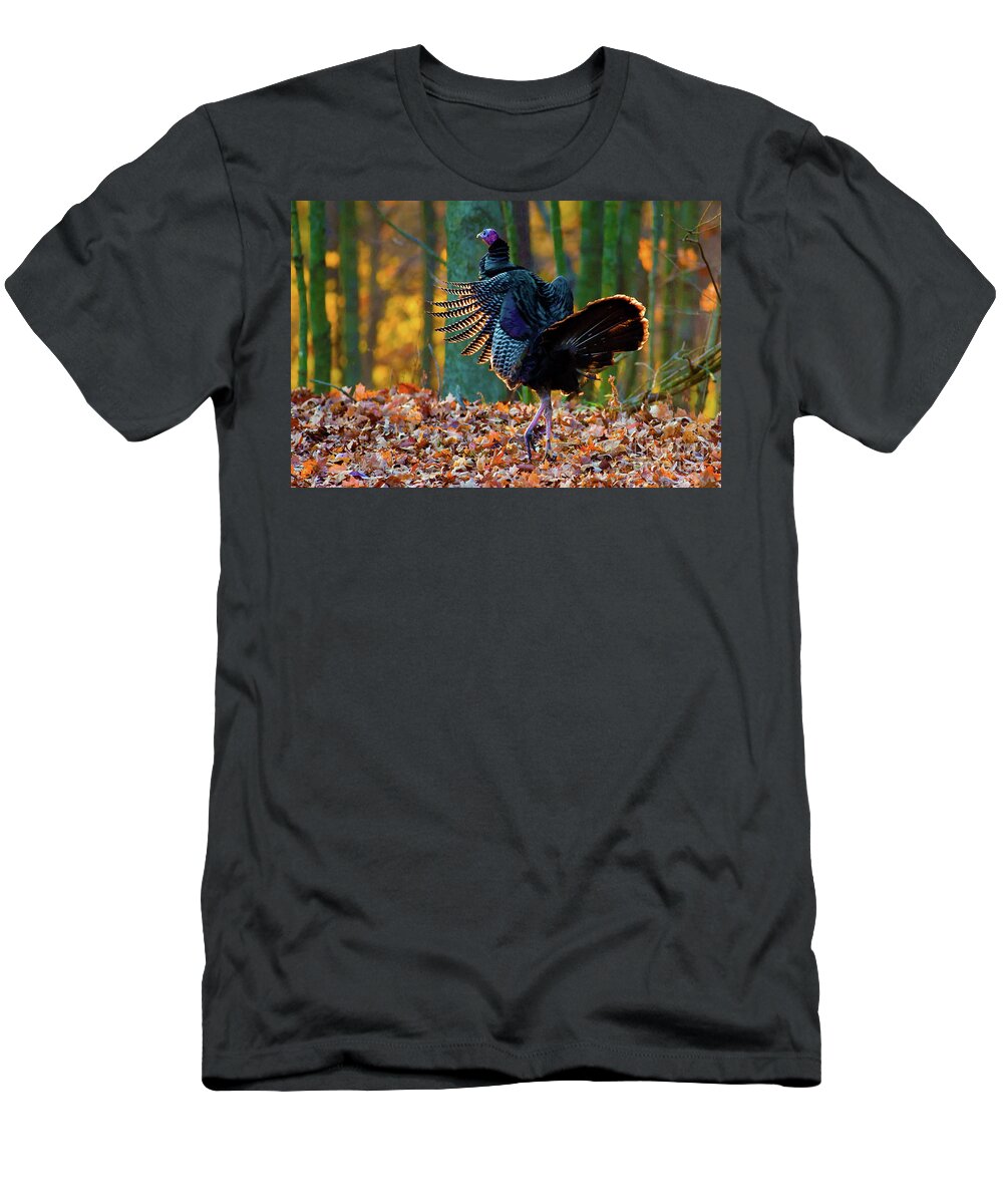 Bird T-Shirt featuring the photograph Wild Turkey struttin by Alan Look