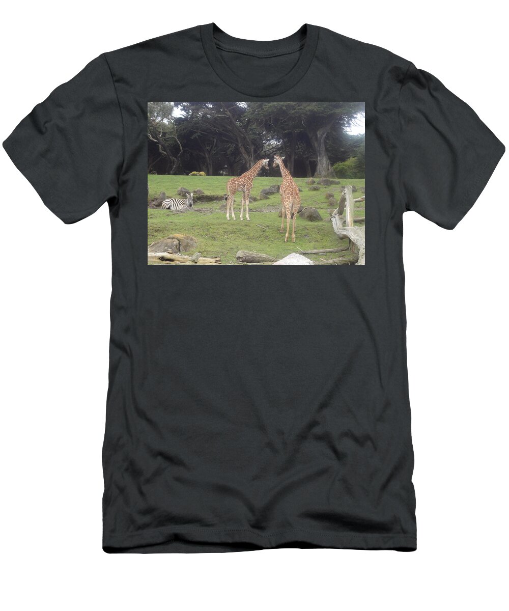 Giraffe T-Shirt featuring the photograph Giraffes and Zebra in the mist by Megan S