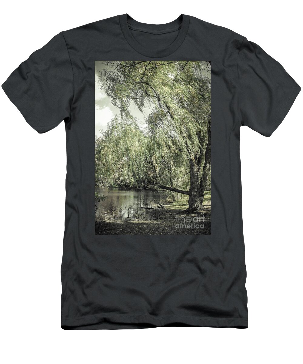 Weeping Willow T-Shirt featuring the photograph Willow by Colleen Kammerer