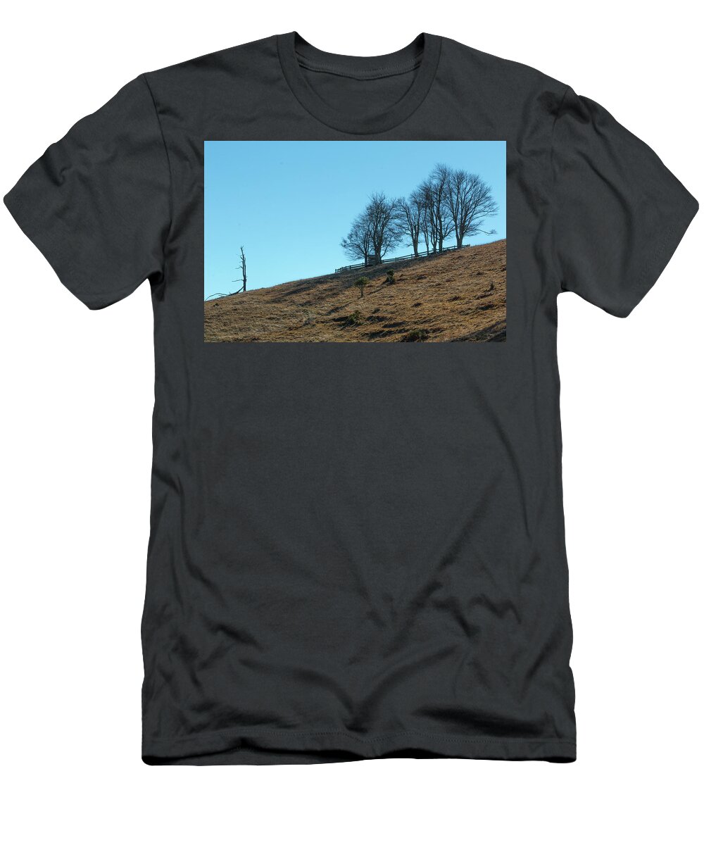 Windswept T-Shirt featuring the photograph Windswept Trees - December 7 2016 by D K Wall