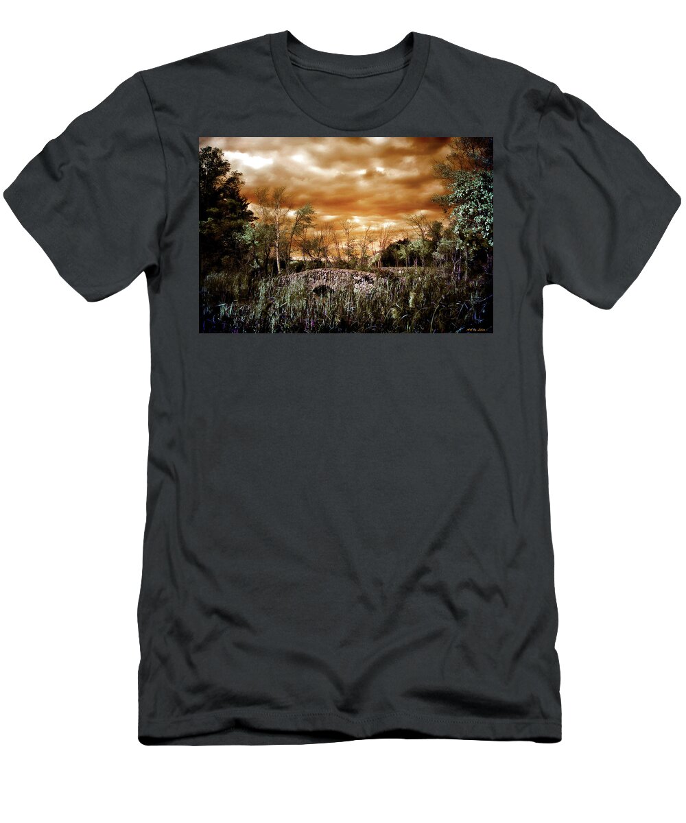 Moody Landscape T-Shirt featuring the digital art Windy and Moody by Lilia D