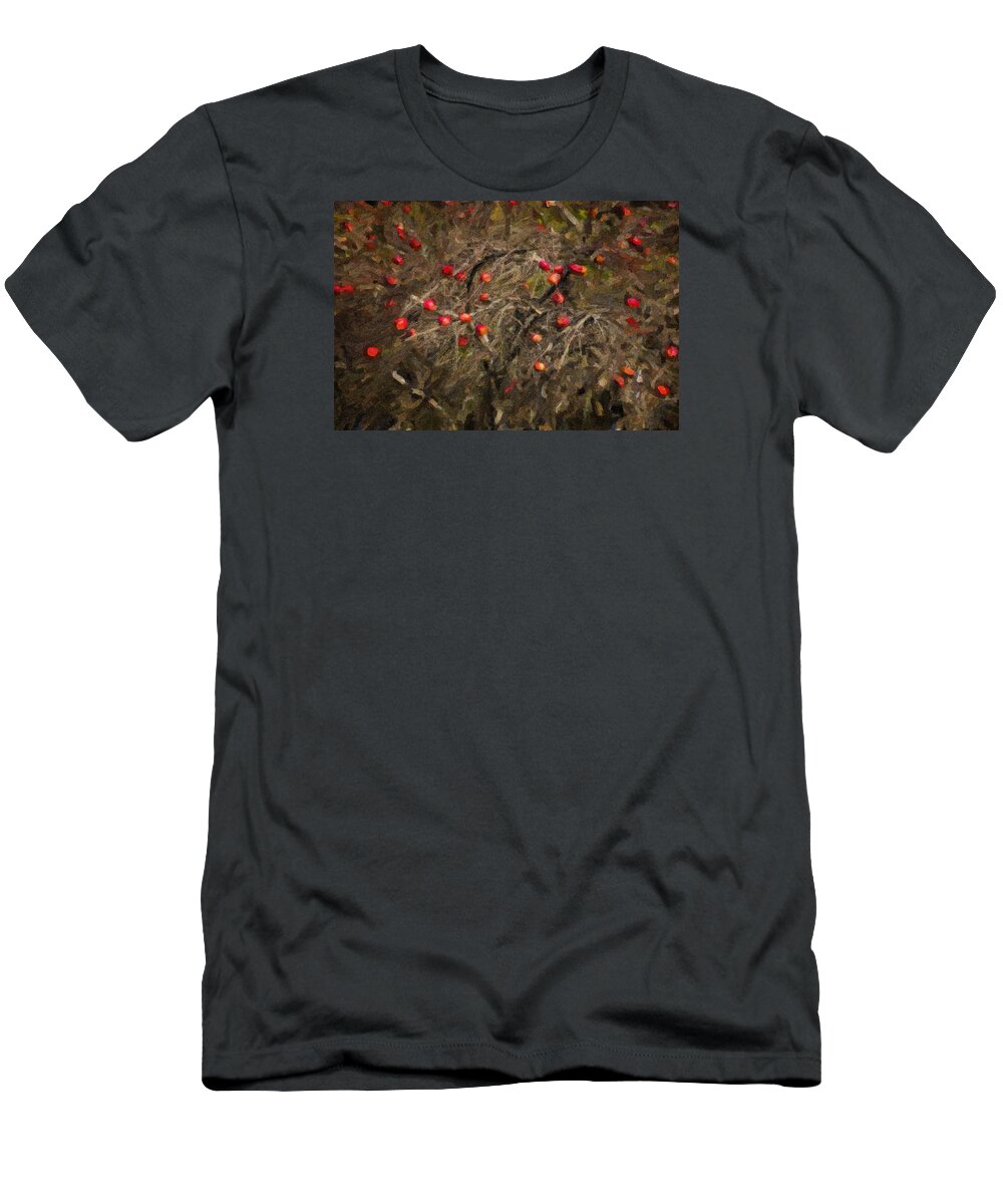Maine Lobster Boats T-Shirt featuring the photograph Winter Apple Abstract by Tom Singleton