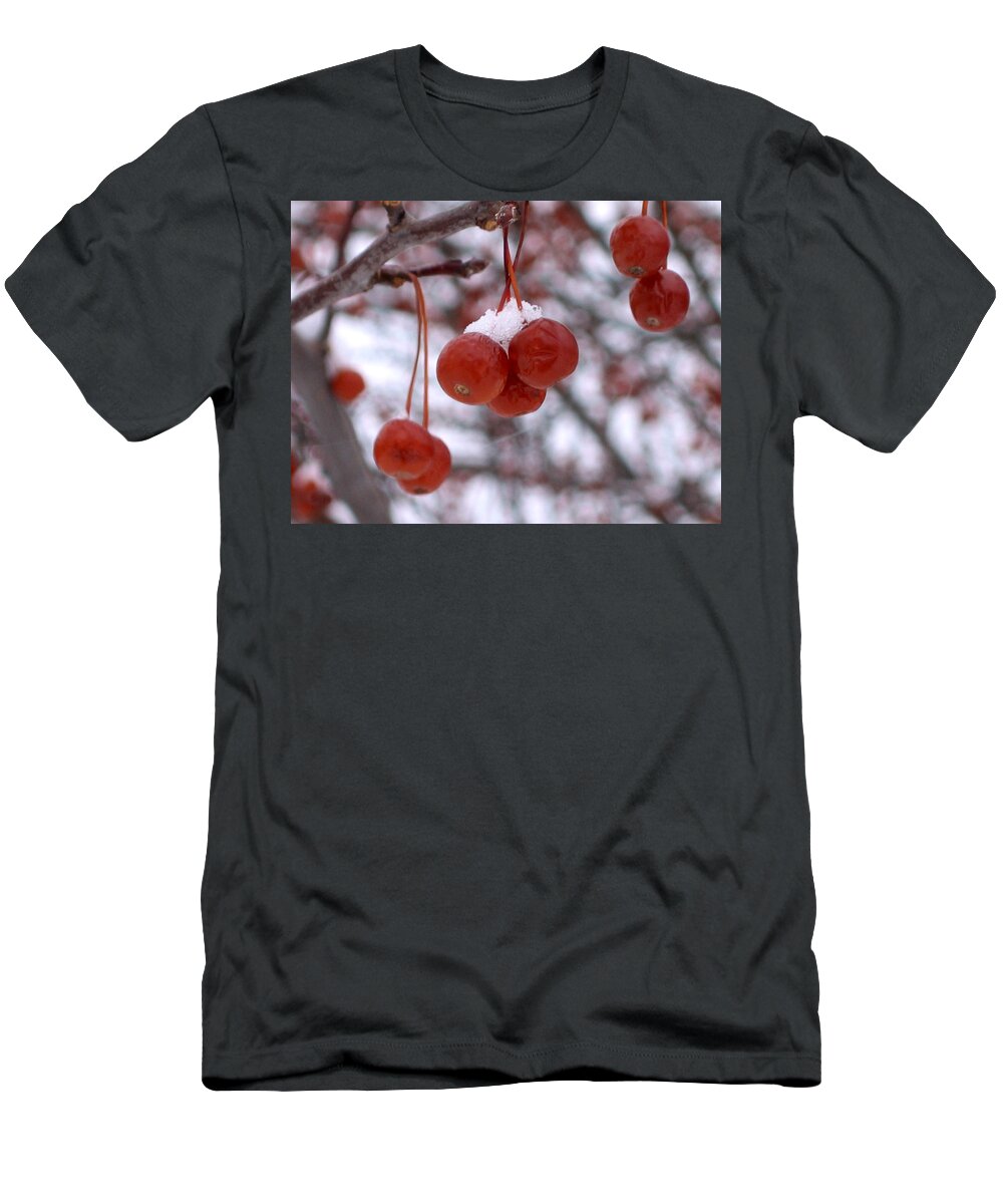 Winter T-Shirt featuring the photograph Winter Berries by Laura Kinker