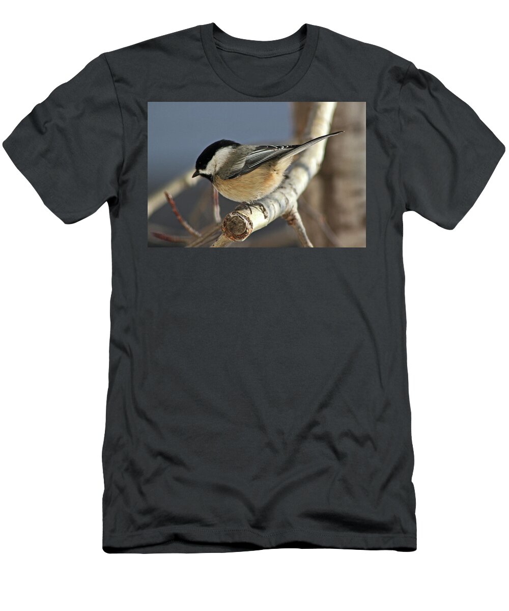 Birds T-Shirt featuring the photograph Chickadee in Winter by Ira Marcus