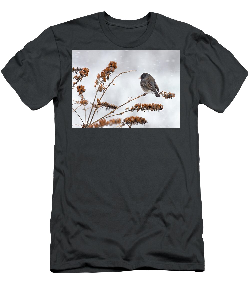 Dark-eyed Junco T-Shirt featuring the photograph Winter, Snow, and a Junco by Jim Zablotny
