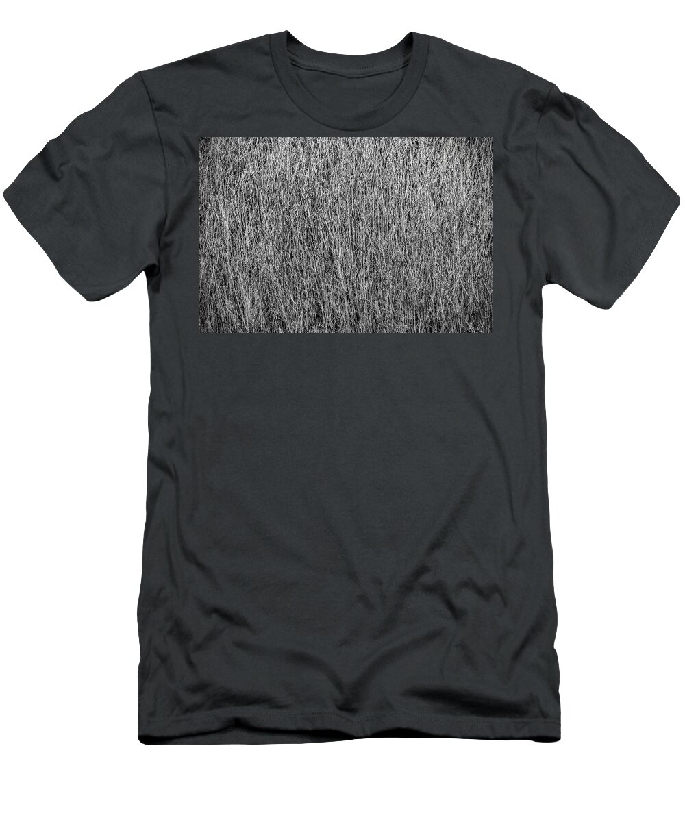 Willows T-Shirt featuring the photograph Winter Willows by Michael Brungardt