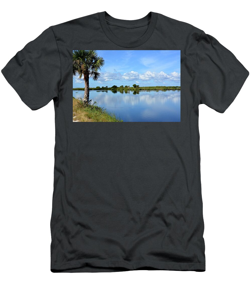 Landscape T-Shirt featuring the photograph Winter Wonderland Florida Style by Carol Bradley