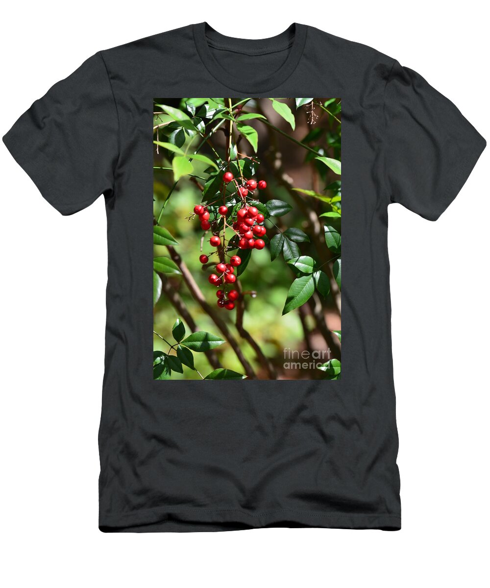 Red Berries T-Shirt featuring the photograph Winterberry by Maria Urso