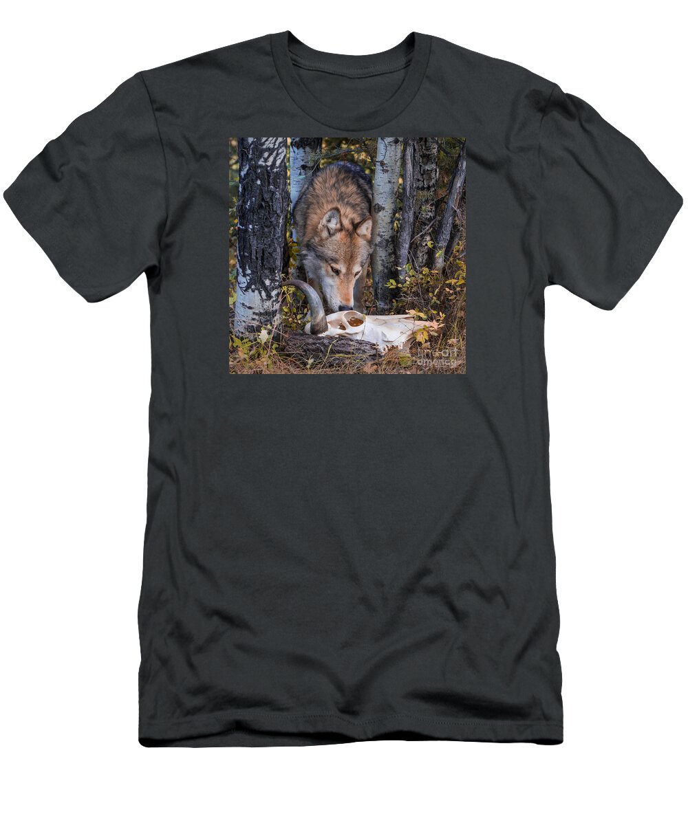 Animal T-Shirt featuring the photograph Wolf and Skull by Jerry Fornarotto