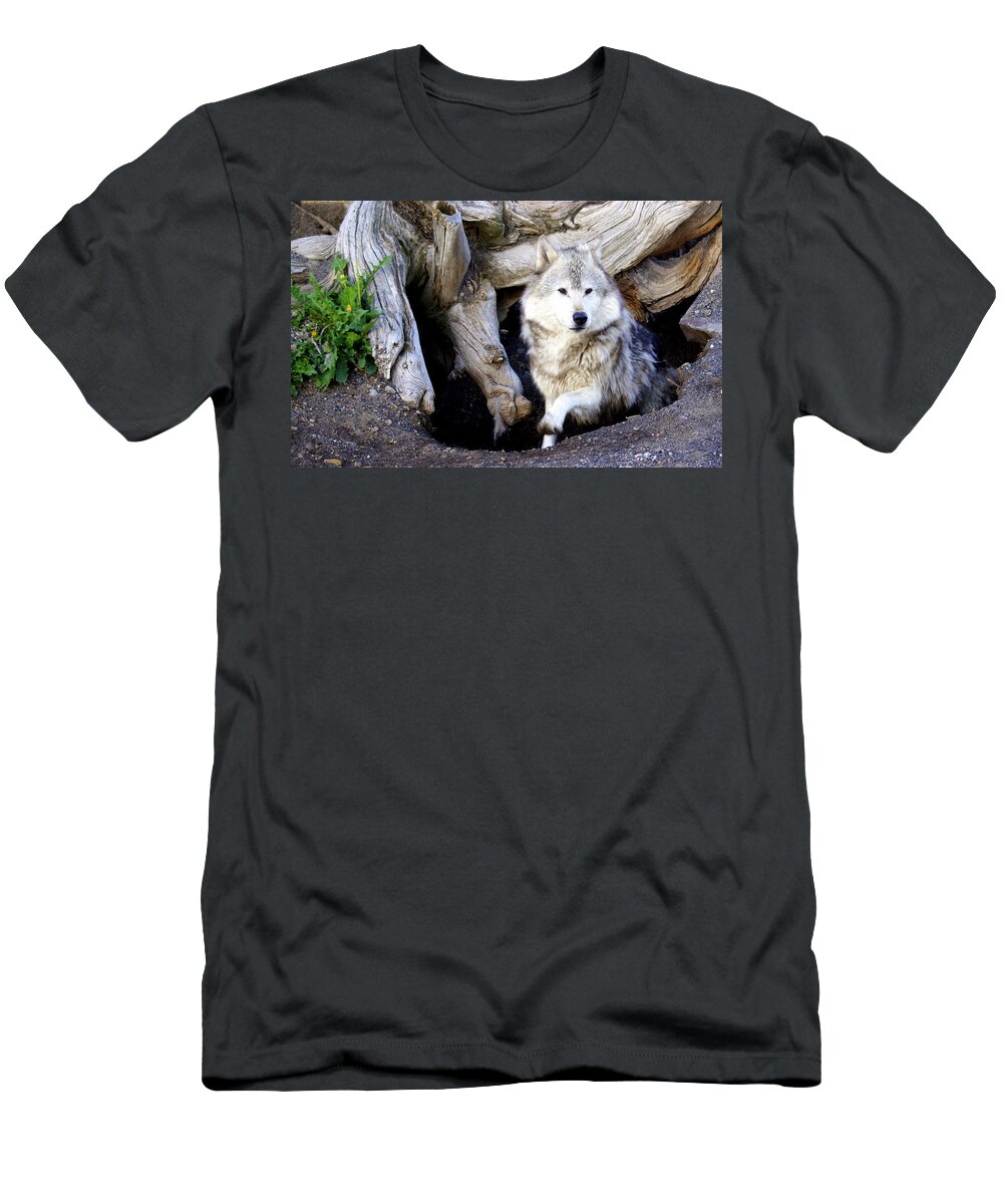 Wolf T-Shirt featuring the photograph Wolf Den 1 by Marty Koch