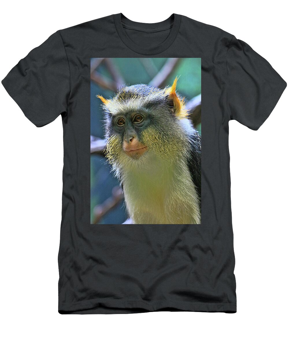 Monkey T-Shirt featuring the photograph Wolf's Monkey by Allen Beatty