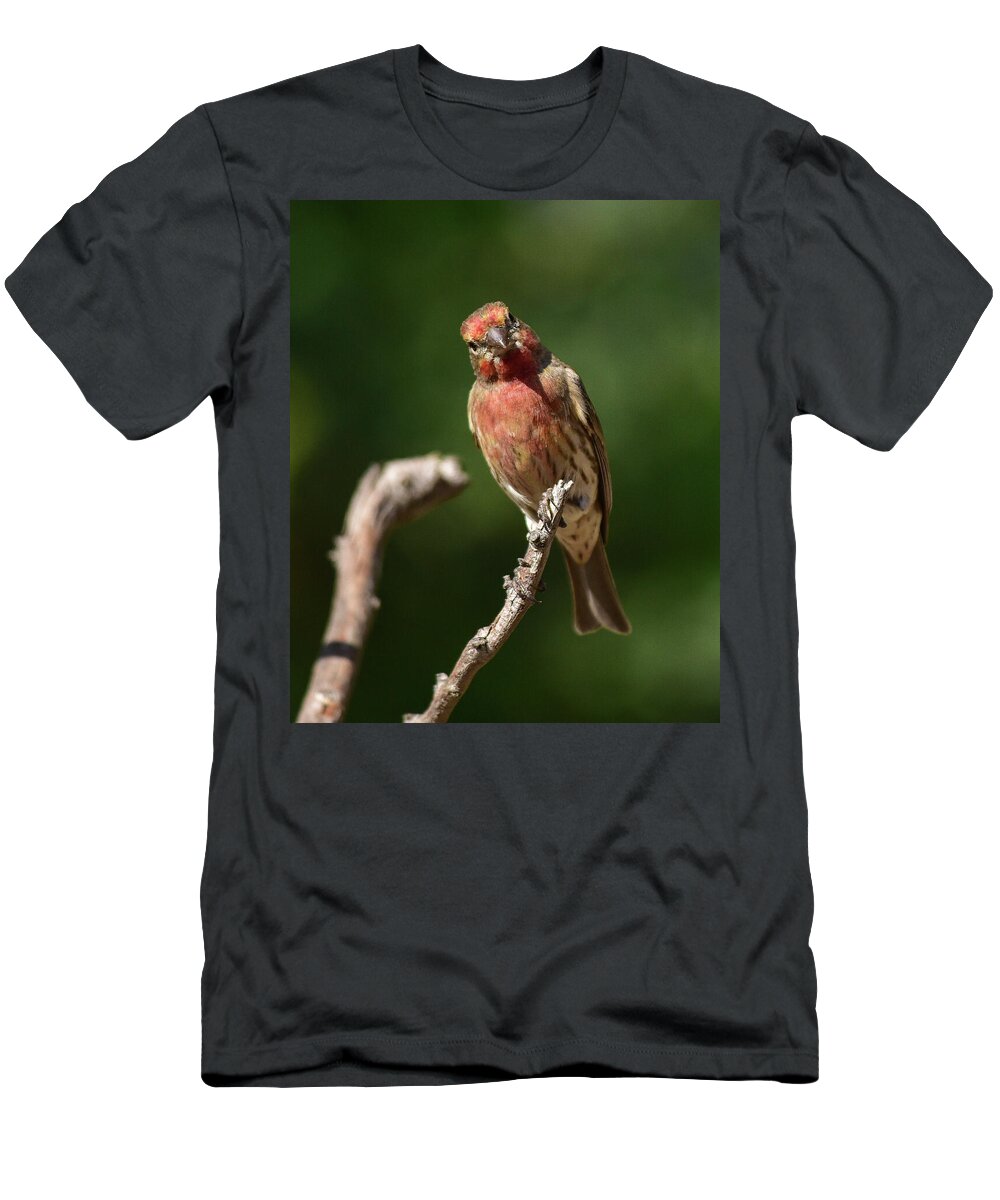 Linda Brody T-Shirt featuring the photograph Wonderment by Linda Brody