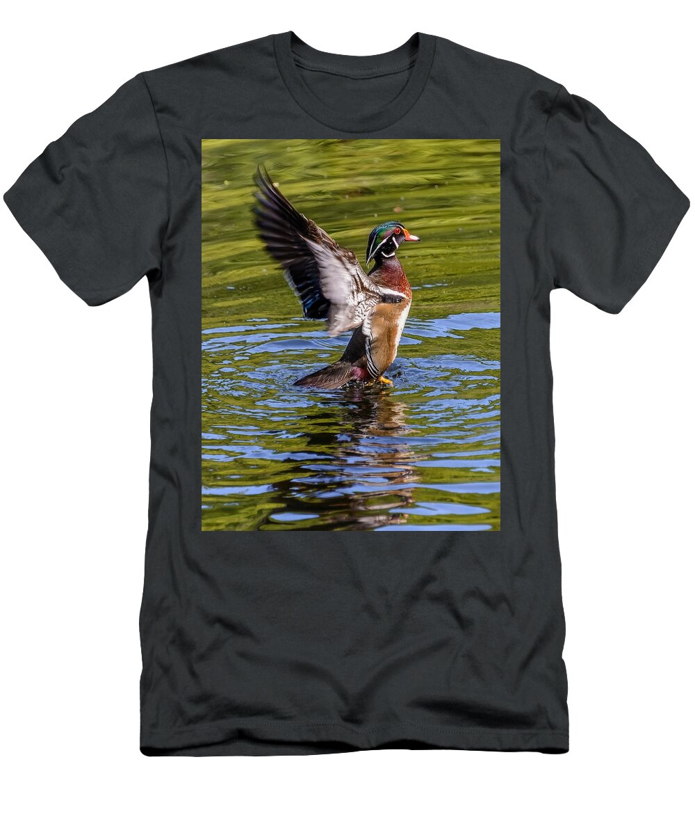Wood T-Shirt featuring the photograph Wood Duck Flapping by Jerry Cahill