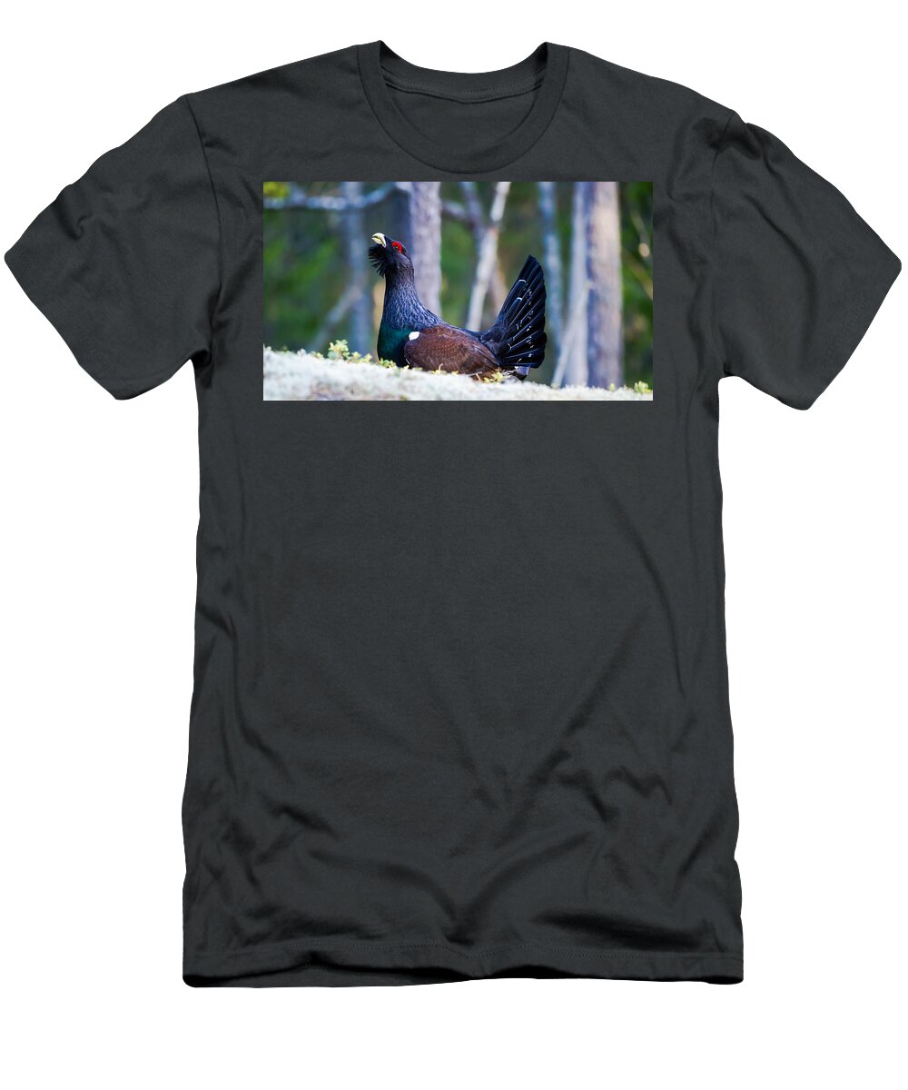 Wood Grouse Ws T-Shirt featuring the photograph Wood grouse WS by Torbjorn Swenelius